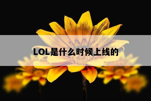 LOL是什么時候上線的-圖1 LOL是什么時候上線的-圖1
