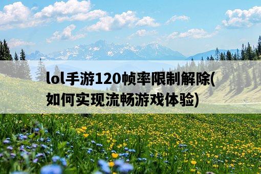 lol手游120幀率限制解除，如何實現流暢游戲體驗-圖1