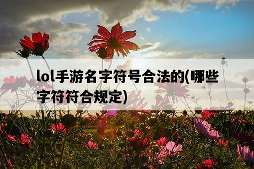 lol手游名字符號合法的，哪些字符符合規定-圖1