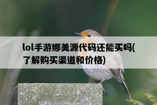 lol手游娜美源代碼還能買嗎，了解購買渠道和價格-圖1