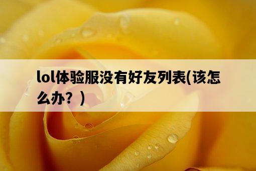 lol體驗服沒有好友列表，該怎么辦？-圖1