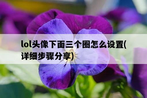 lol頭像下面三個圈怎么設置，詳細步驟分享-圖1