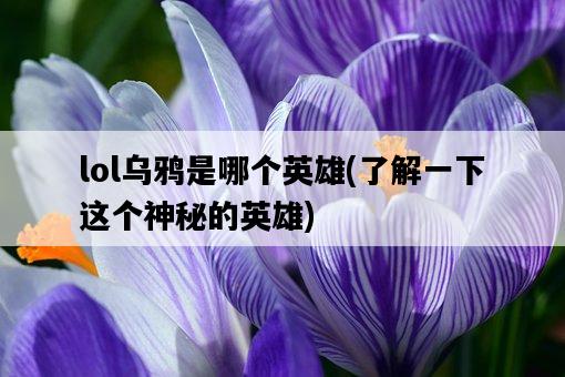 lol烏鴉是哪個英雄，了解一下這個神秘的英雄-圖1