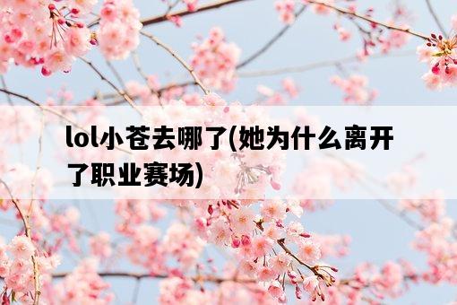 lol小蒼去哪了，她為什么離開了職業賽場-圖1