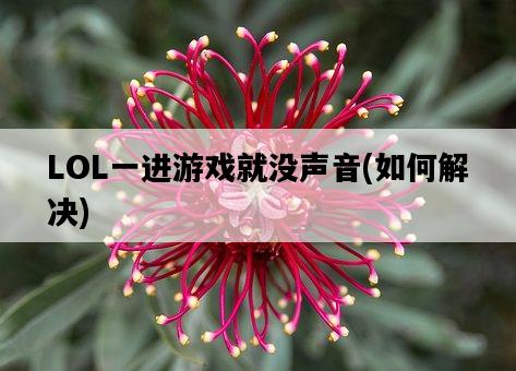 LOL一進游戲就沒聲音，如何解決-圖1