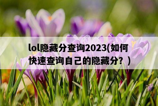 lol隱藏分查詢2023，如何快速查詢自己的隱藏分？-圖1
