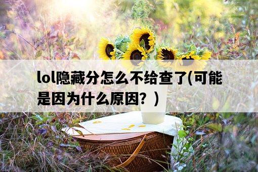 lol隱藏分怎么不給查了，可能是因為什么原因？-圖1