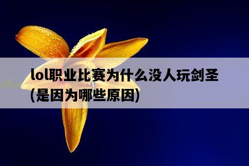 lol職業比賽為什么沒人玩劍圣，是因為哪些原因-圖1