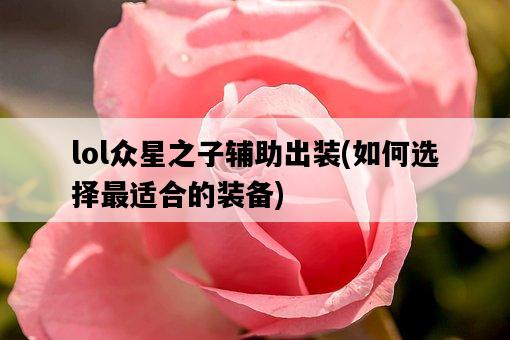 lol眾星之子輔助出裝，如何選擇最適合的裝備-圖1