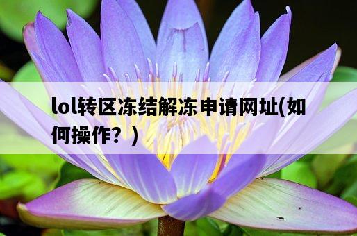 lol轉區凍結解凍申請網址，如何操作？-圖1