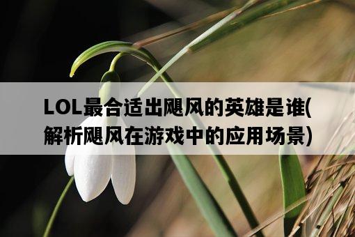 LOL最合適出颶風的英雄是誰,解析颶風在游戲中的應用場景-圖1 LOL最合適出颶風的英雄是誰,解析颶風在游戲中的應用場景-圖1