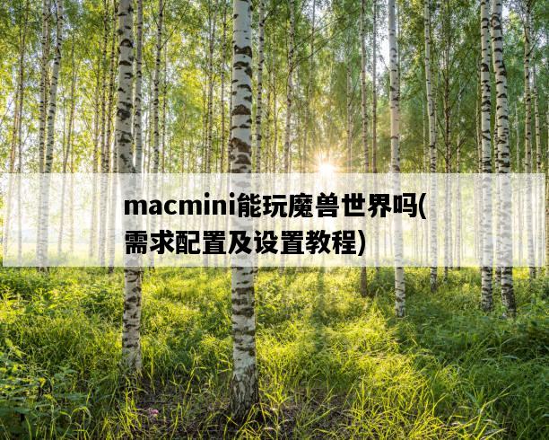 macmini能玩魔獸世界嗎，需求配置及設置教程-圖1