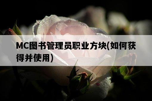 MC圖書管理員職業方塊,如何獲得并使用-圖1 MC圖書管理員職業方塊,如何獲得并使用-圖1