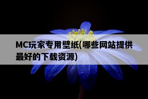 MC玩家專用壁紙，哪些網站提供最好的下載資源-圖1