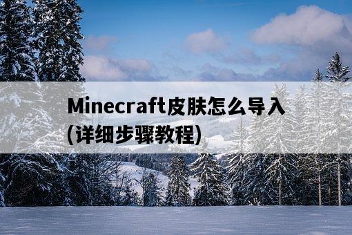Minecraft皮膚怎么導入，詳細步驟教程-圖1