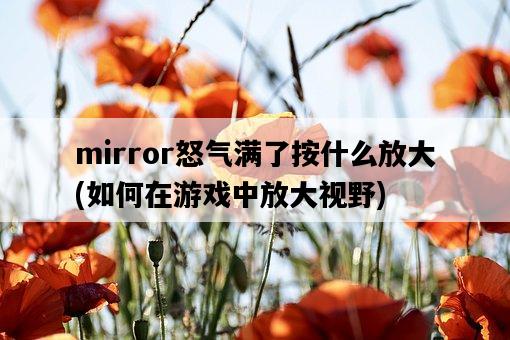 mirror怒氣滿了按什么放大，如何在游戲中放大視野-圖1