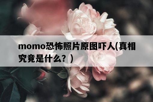 momo恐怖照片原圖嚇人，真相究竟是什么？-圖1