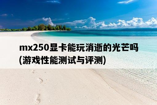mx250顯卡能玩消逝的光芒嗎，游戲性能測試與評測-圖1