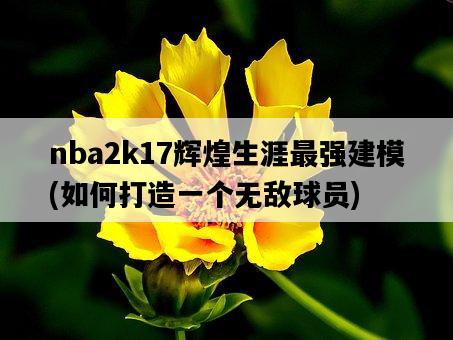 nba2k17輝煌生涯最強建模，如何打造一個無敵球員-圖1