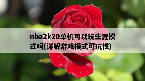 nba2k20單機可以玩生涯模式嗎，詳解游戲模式可玩性-圖1