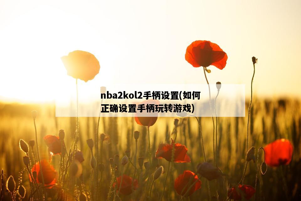 nba2kol2手柄設置，如何正確設置手柄玩轉游戲-圖1