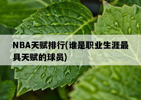 NBA天賦排行，誰是職業生涯最具天賦的球員-圖1