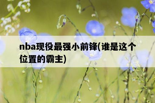 nba現役最強小前鋒，誰是這個位置的霸主-圖1