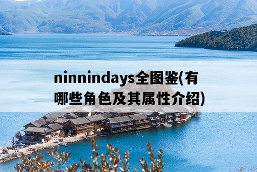ninnindays全圖鑒，有哪些角色及其屬性介紹-圖1
