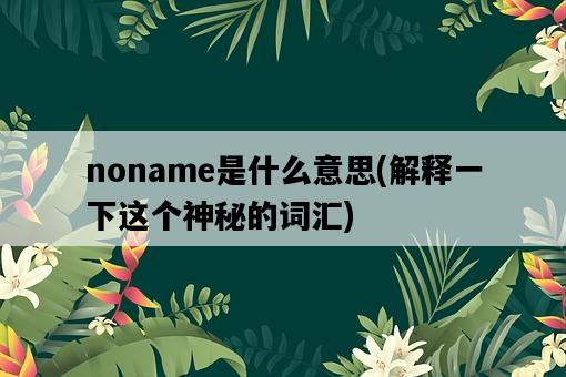 noname是什么意思，解釋一下這個神秘的詞匯-圖1
