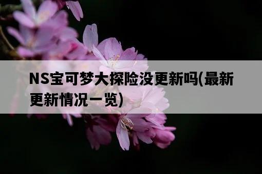 NS寶可夢大探險沒更新嗎，最新更新情況一覽-圖1