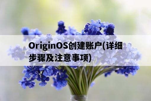 OriginOS創建賬戶,詳細步驟及注意事項-圖1 OriginOS創建賬戶,詳細步驟及注意事項-圖1