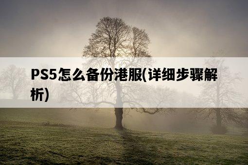 PS5怎么備份港服,詳細步驟解析-圖1 PS5怎么備份港服,詳細步驟解析-圖1