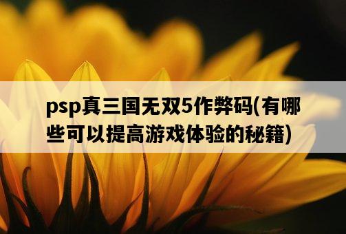 psp真三國無雙5作弊碼，有哪些可以提高游戲體驗的秘籍-圖1