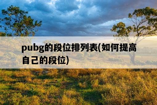 pubg的段位排列表，如何提高自己的段位-圖1