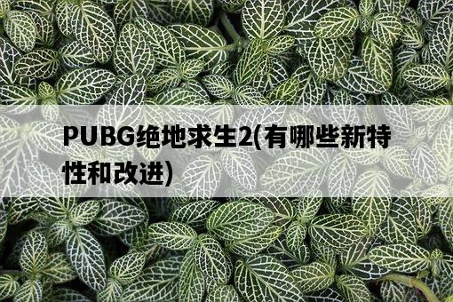 PUBG絕地求生2，有哪些新特性和改進-圖1