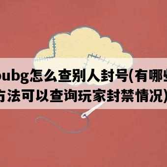 pubg怎么查別人封號，有哪些方法可以查詢玩家封禁情況-圖1