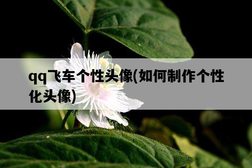 qq飛車個性頭像，如何制作個性化頭像-圖1