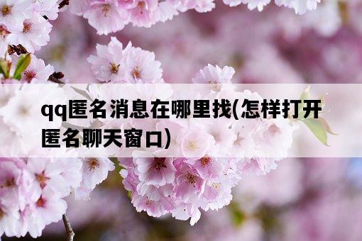 qq匿名消息在哪里找，怎樣打開匿名聊天窗口-圖1
