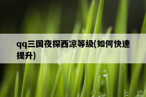 qq三國夜探西涼等級，如何快速提升-圖1