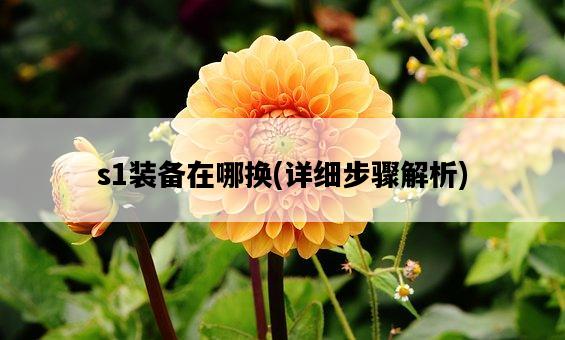 s1裝備在哪換，詳細步驟解析-圖1