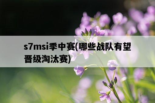 s7msi季中賽，哪些戰隊有望晉級淘汰賽-圖1