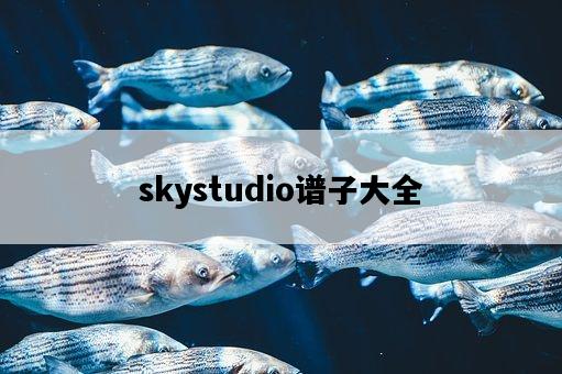 skystudio譜子大全-圖1