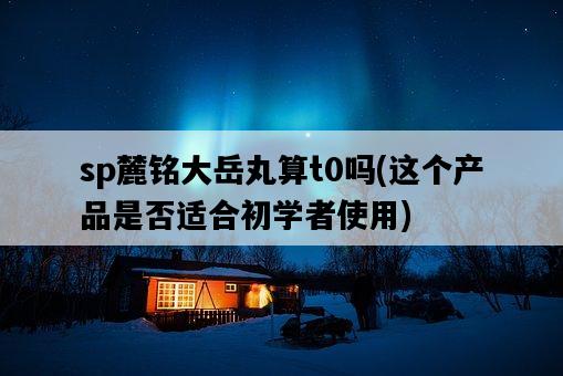 sp麓銘大岳丸算t0嗎,這個產品是否適合初學者使用-圖1 sp麓銘大岳丸算t0嗎,這個產品是否適合初學者使用-圖1