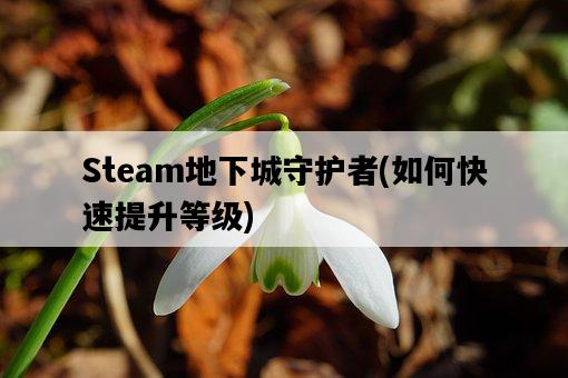 Steam地下城守護者，如何快速提升等級-圖1