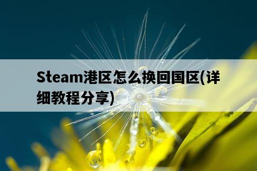 Steam港區怎么換回國區，詳細教程分享-圖1