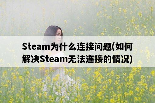 Steam為什么連接問題，如何解決Steam無法連接的情況-圖1