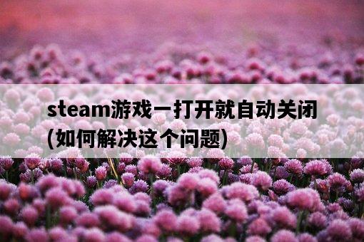 steam游戲一打開就自動關閉，如何解決這個問題-圖1