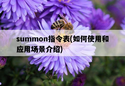 summon指令表，如何使用和應用場景介紹-圖1