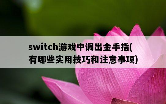switch游戲中調出金手指，有哪些實用技巧和注意事項-圖1