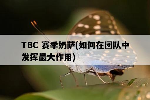 TBC 賽季奶薩,如何在團隊中發揮最大作用-圖1 TBC 賽季奶薩,如何在團隊中發揮最大作用-圖1